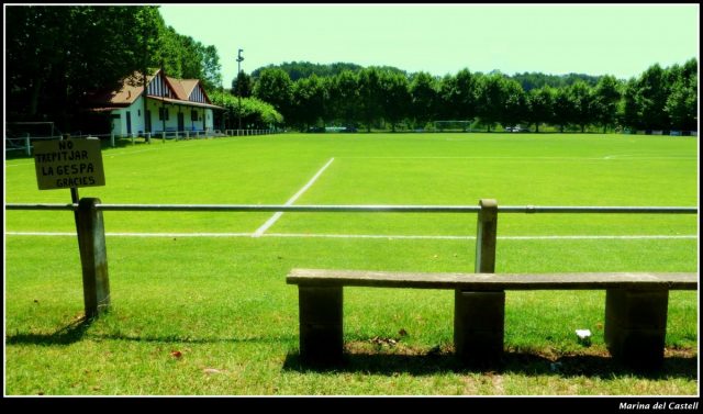 How And When To Graft Grass