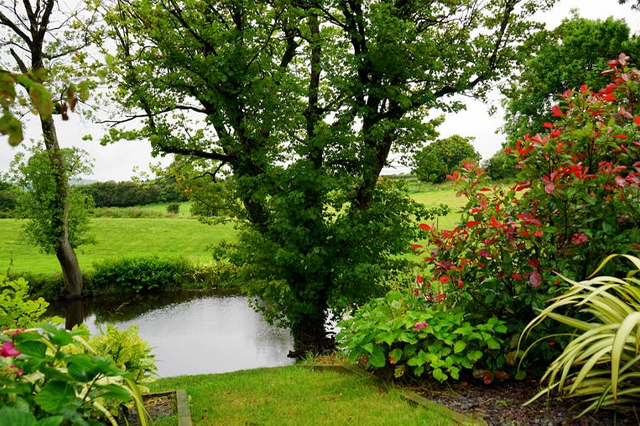 How To Decorate A Small Garden